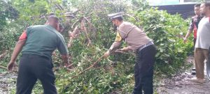 TNI/ Polri, Sigap Gotong Royong Tangani Pohon Tumbang Di Balong bendo