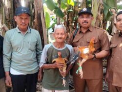 Kreatif dan Peduli, Kades Lebaksono Dorong Kemandirian Warga Lewat Ternak Ayam Kampung