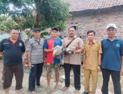 Kades Lebaksono Inisiasi Pemberdayaan Warga Lewat Program Ayam Kampung Mandiri