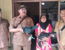 Ramadan 1447 H, Kades Lebaksono Konsisten Salurkan Bantuan Ayam Kampung untuk Warga Prasejahtera