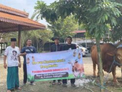 Ponpes Segoro Agung Terima Bantuan Sapi Kurban dari Presiden Prabowo pada Idul adha 1447 H
