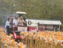 Panen Raya Jagung Di Tuban, Kapolri Sampaikan Aspirasi Petani Ke Presiden RI.