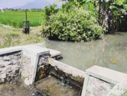 Dukung Produktivitas Pertanian, DPUPR Mojokerto Kerjakan 9 Paket Rehabilitasi Irigasi