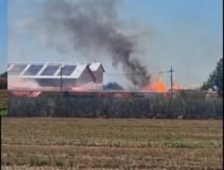 Kebakaran Lahan di Samping Pabrik, PT Sun Paper Source Pastikan Situasi Terkendali dan Nihil Korban